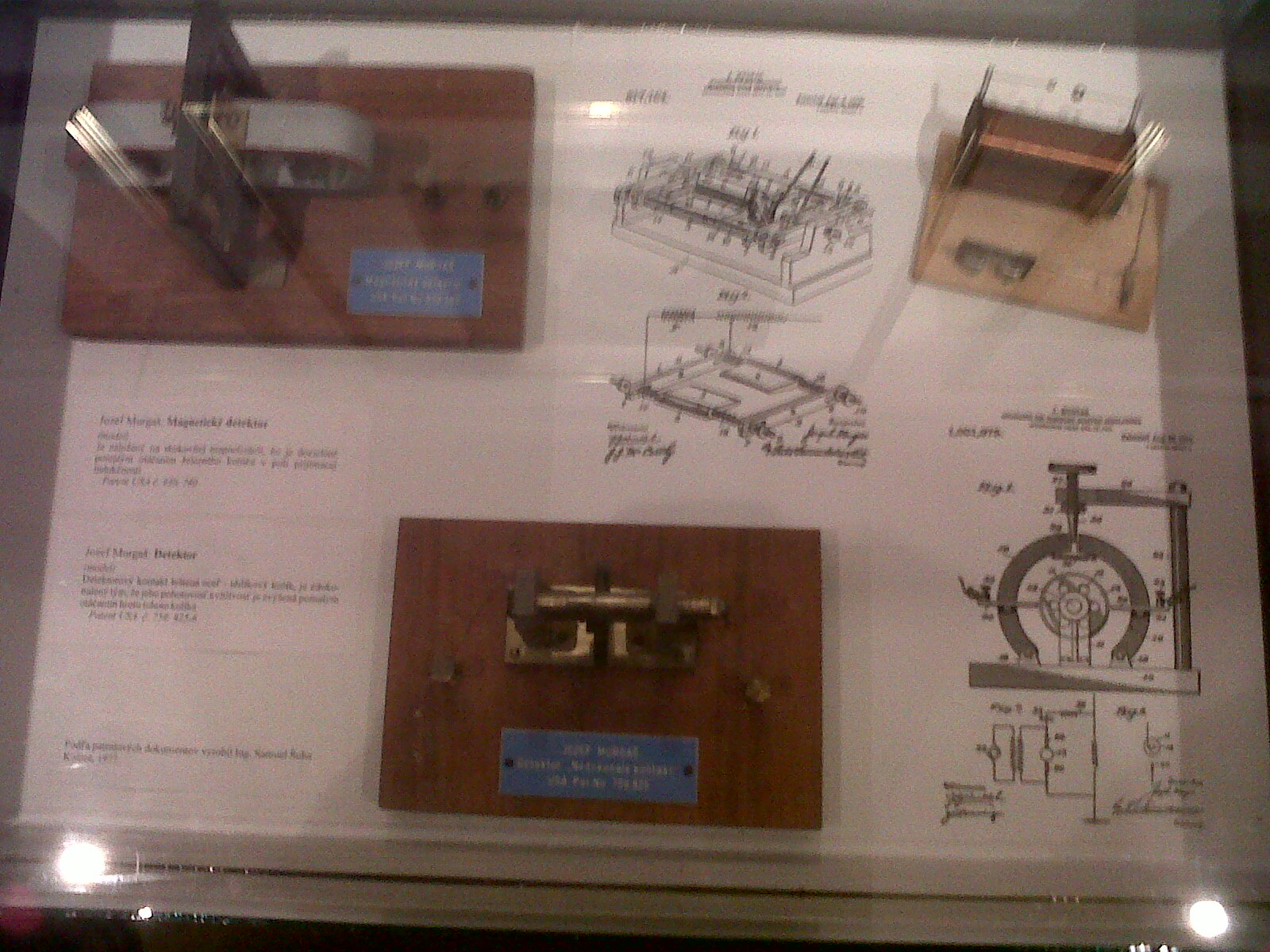 IMG00240-20101019-1121.jpg